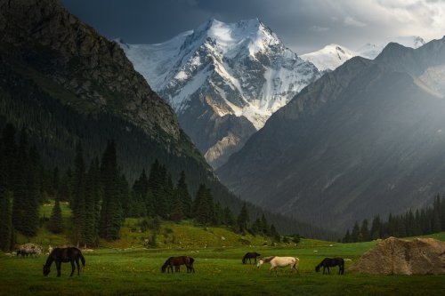 Горная Киргизия. Фото нидерландского фотографа Альберта Дроса (Albert Dros) 